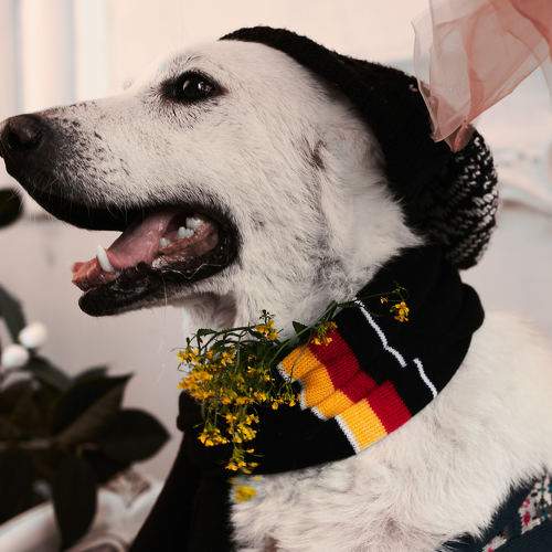 Photo #6186440