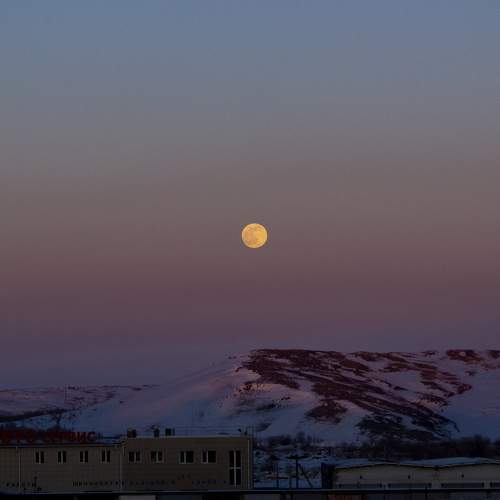 Photo #6186533