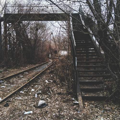 Photo #6186599