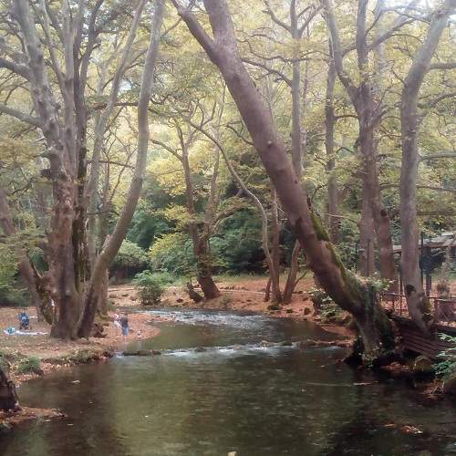 Photo #6186803