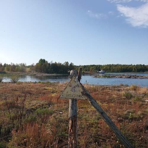 Photo #6186831