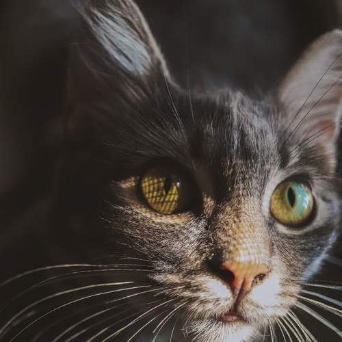 Photo #6186848