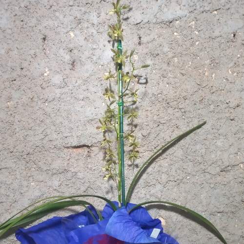 Photo #6186892