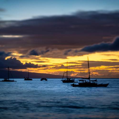 Photo #6186896