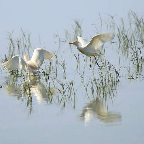 Photo #6186938