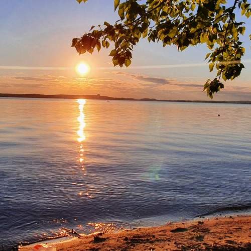 Photo #6187000