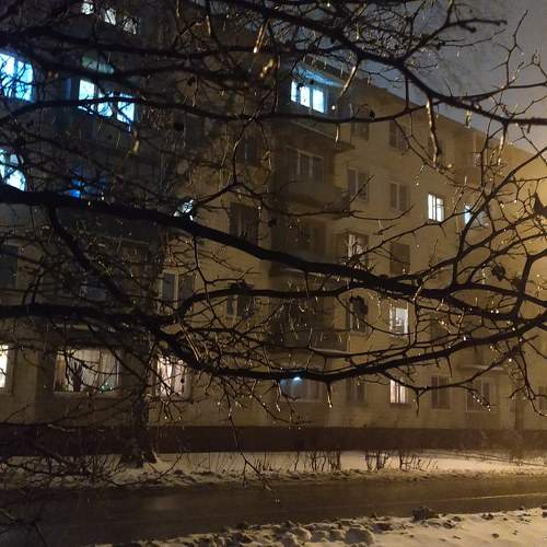 Photo #6187124