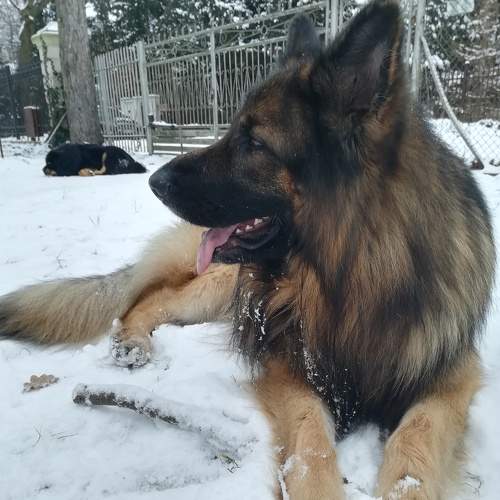 Photo #6187189