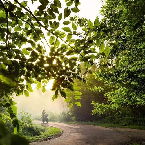 Photo #6187347