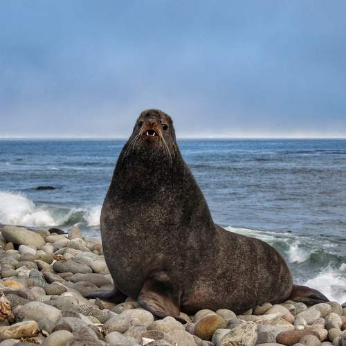Photo #6187376