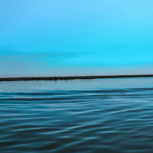 Photo #6187381