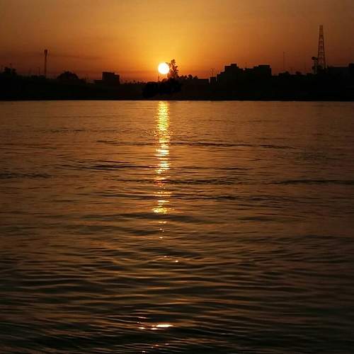 Photo #6187415