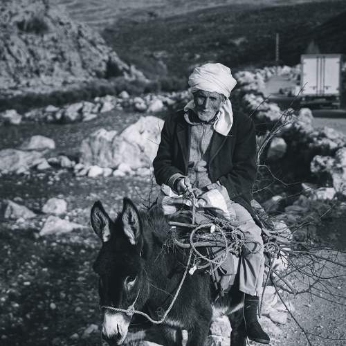 Photo #6187439