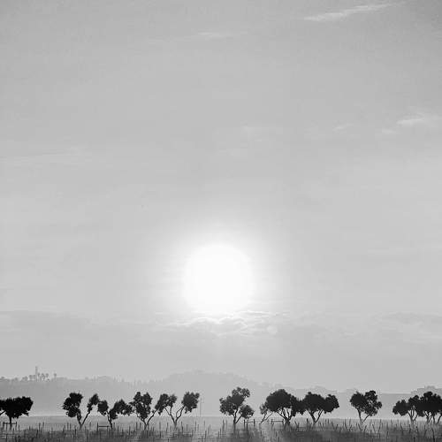 The morning