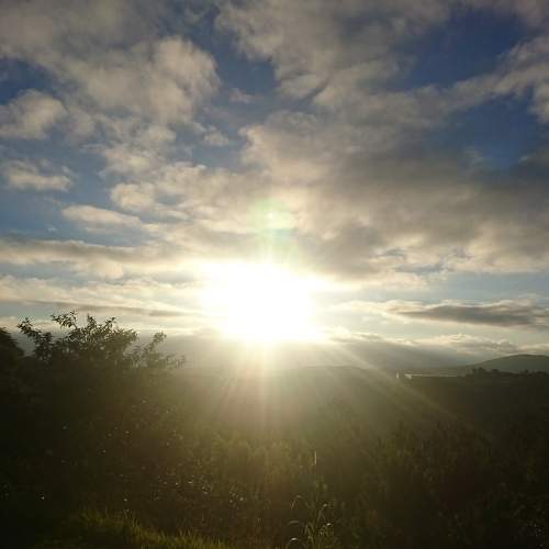Photo #6187579