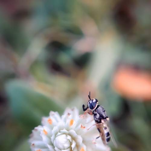 Photo #6187665