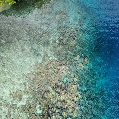 Photo #6187844