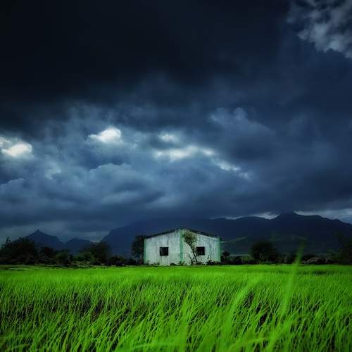 Nature at its best
