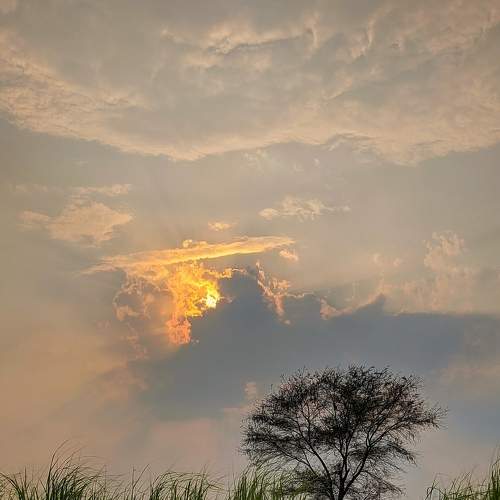 Photo #6187900
