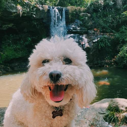 Photo #6187933