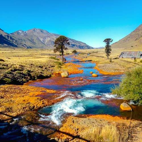 Photo #6187941