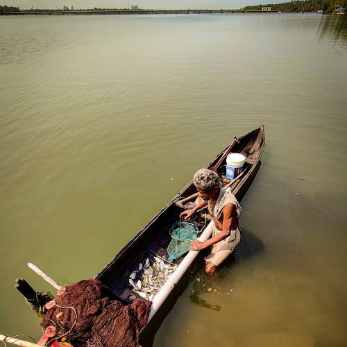 Photo #6187986