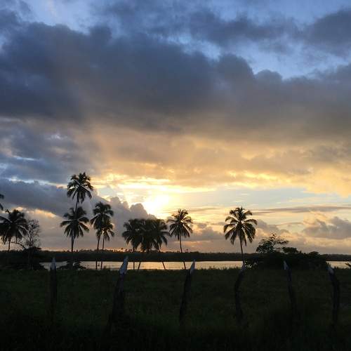 Photo #6188022