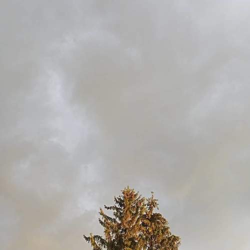 Photo #6188291