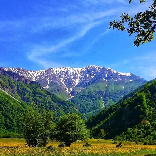 Photo #6188458