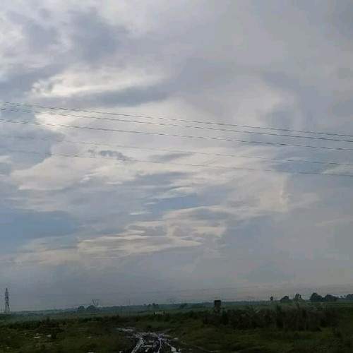Photo #6188525