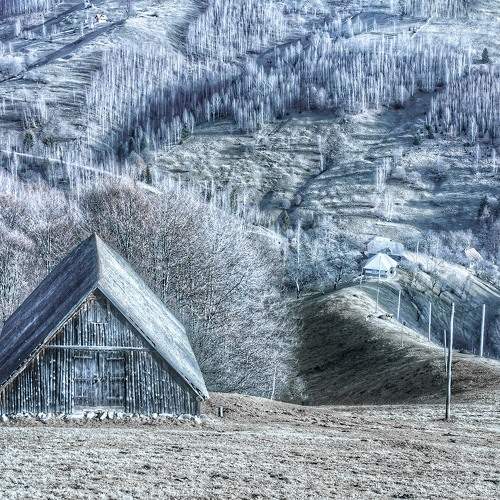 Photo #6188750
