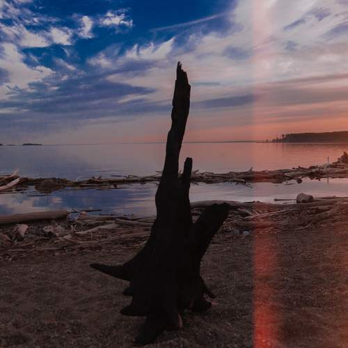 Photo #6188800