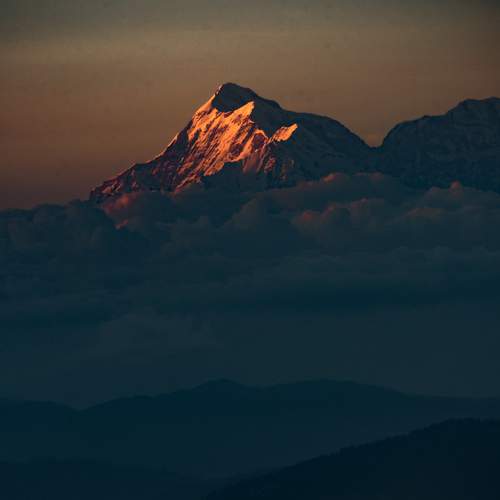 Photo #6188845