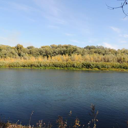 Photo #6188893