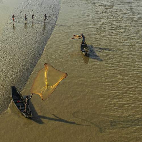 Photo #6188904