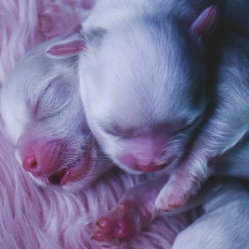 Photo #6188959