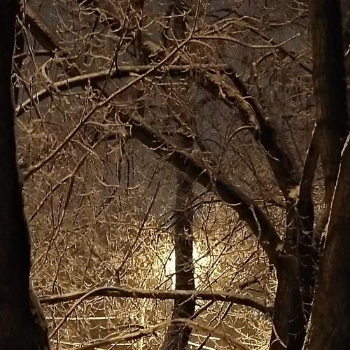 Photo #6189000