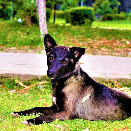 Photo #6189412