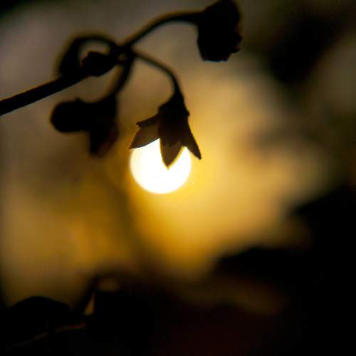 Photo #6189423
