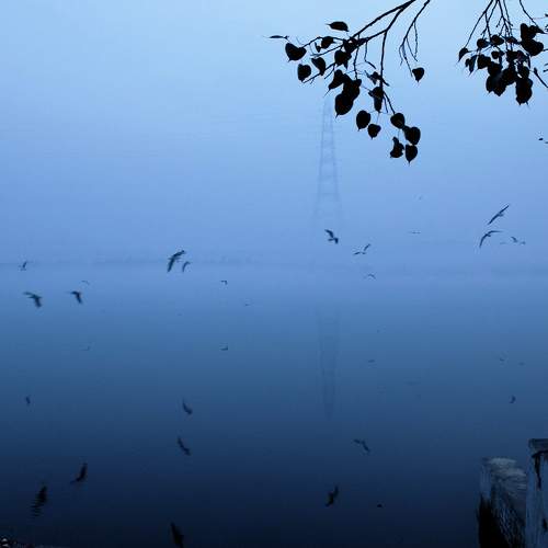 Photo #6189445