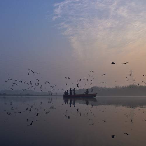 Photo #6189462
