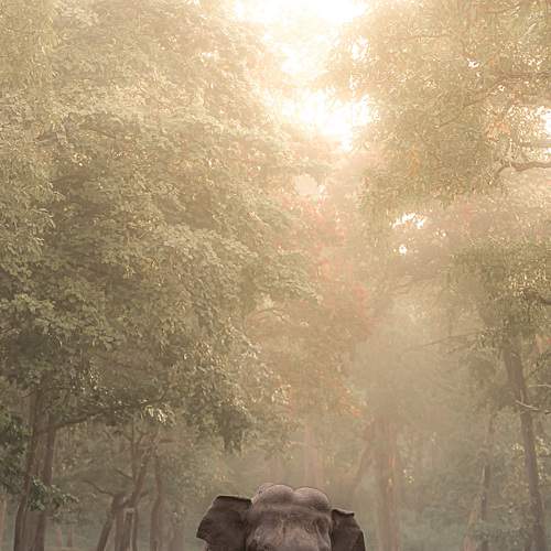 Photo #6189503