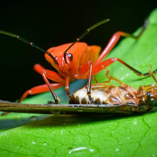 Photo #6189657