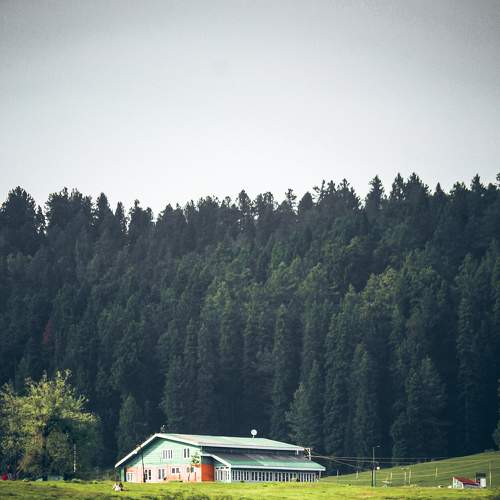 Landscape