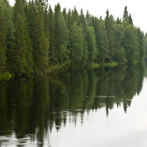 Photo #6189995