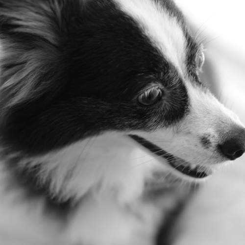 Photo #6190046