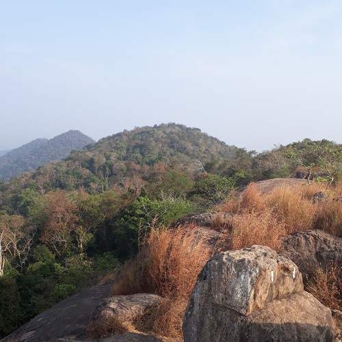 Photo #6190474