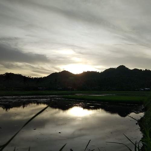 River Photography Landscape