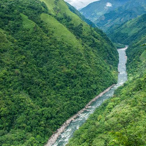 Photo #6190725