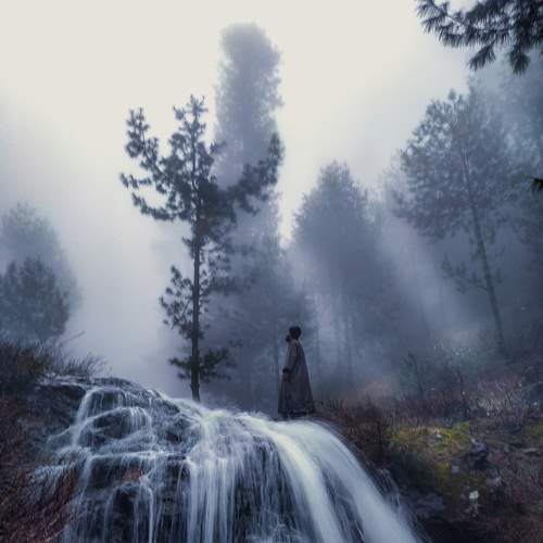 Photo #6190735